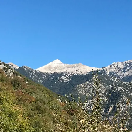 Nefeli Tseria